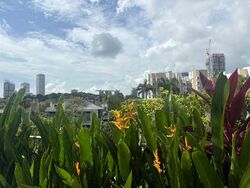 Belle Vue Residences (D9), Condominium #569572391